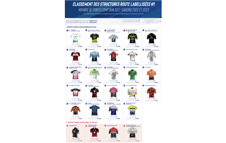 GUIDON CHALETTOIS EN N1