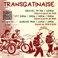 33ème TRANSGATINAISE
